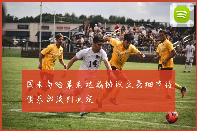 国米与哈莱利达成协议交易细节待俱乐部谈判决定