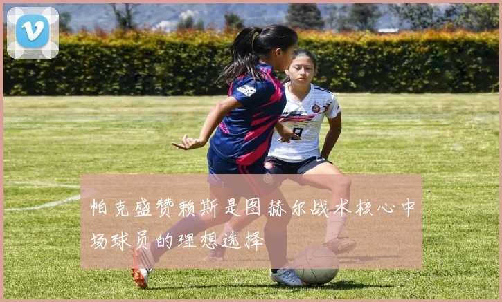 帕克盛赞赖斯是图赫尔战术核心中场球员的理想选择